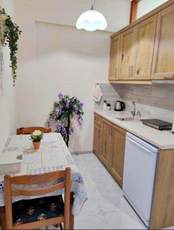 Kuchyň nebo kuchyňský kout v ubytování Borianoula Apartments