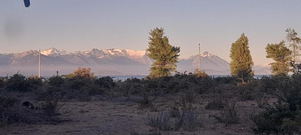 un grupo de árboles en un campo con montañas en el fondo en Dormis DEL LAGO, en La Porteña