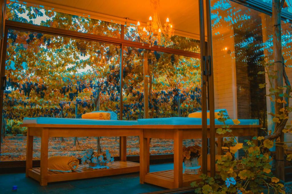 Zahrada ubytování Cava Colchagua Hotel Boutique