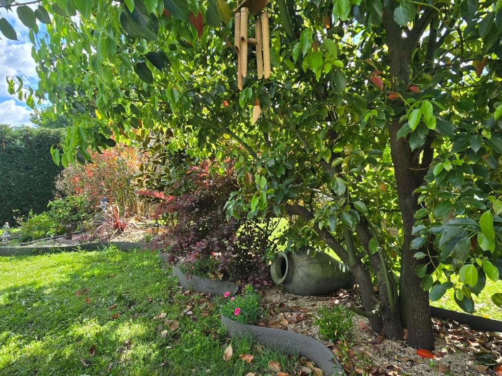 un jardin avec un pommier et un pneu dans l'établissement La Villa de Joy, à Sanguinet
