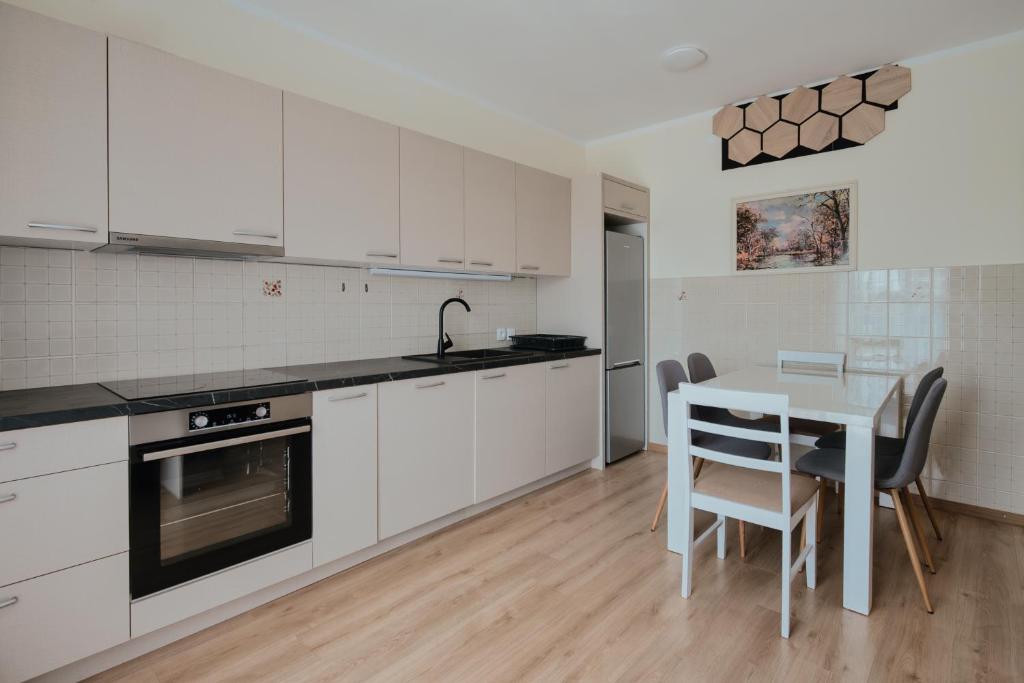 Kuchyň nebo kuchyňský kout v ubytování Luxury Apartments Vili