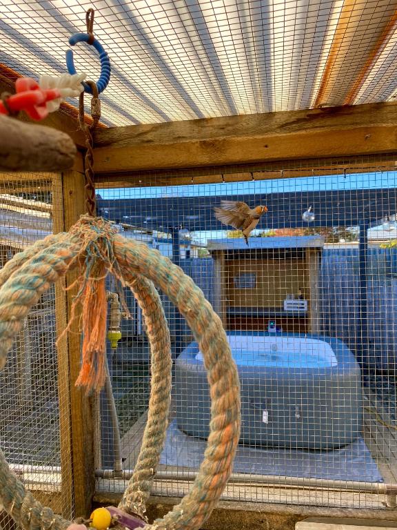 Sun-kissed Spa Retreat - Resim 9