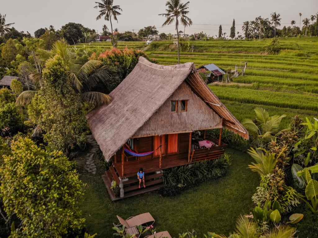 a house with a thatched roof in a rice field at Cute Eco Cottage Near 7 Waterfalls in Singaraja