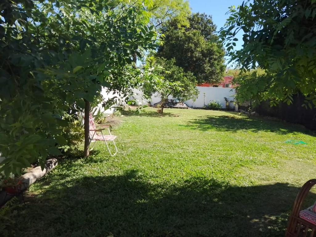 a yard with a chair in the shade of a tree at La Casa de Estela in La Paz