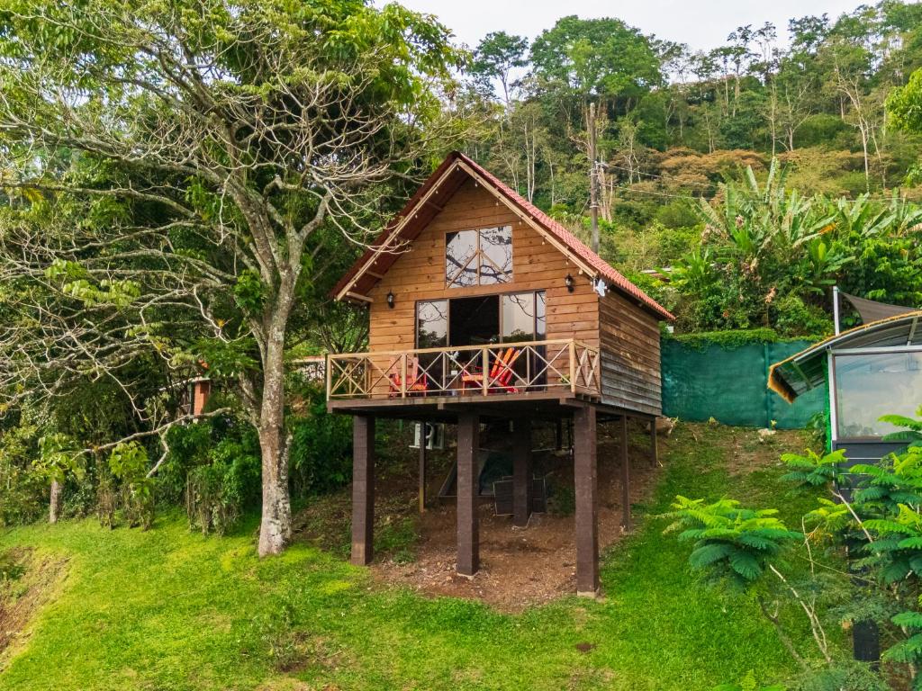 Zahrada ubytování Glamping Renacer Vistas Turrialba, Paris