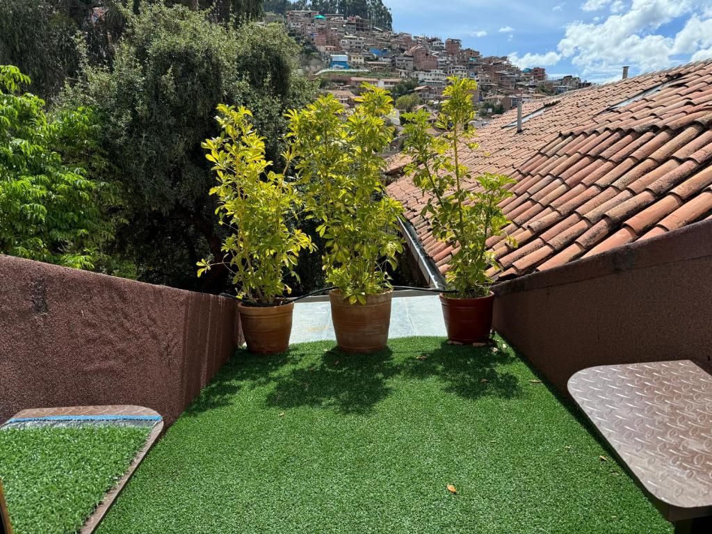 Zahrada ubytování ARQUEOLOGO Exclusive Boutique Hotel Cusco - Centro Histórico