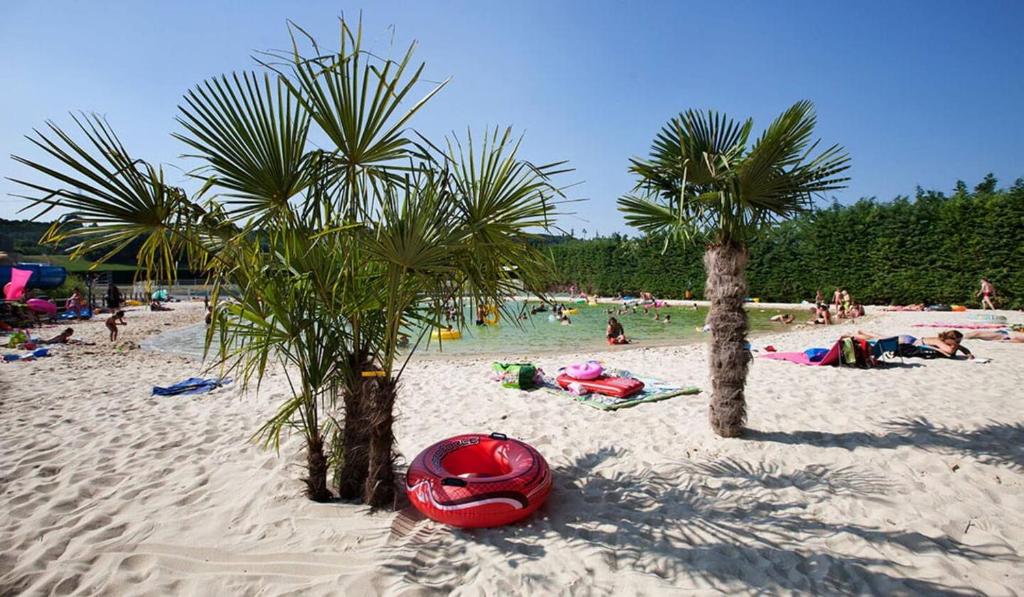 une plage avec des palmiers et des gens sur le sable dans l'établissement Magnifique Mobilhome au camping le Chateau de Galaure, à Châteauneuf-de-Galaure