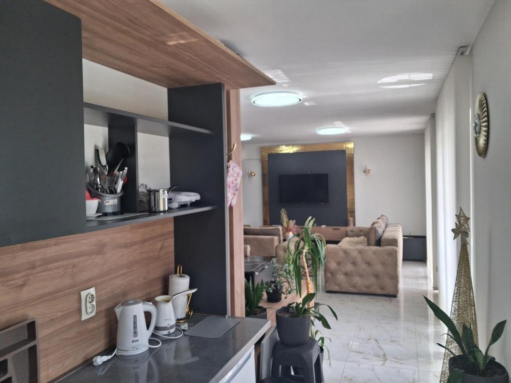 Kuchyň nebo kuchyňský kout v ubytování Dina lux apartman