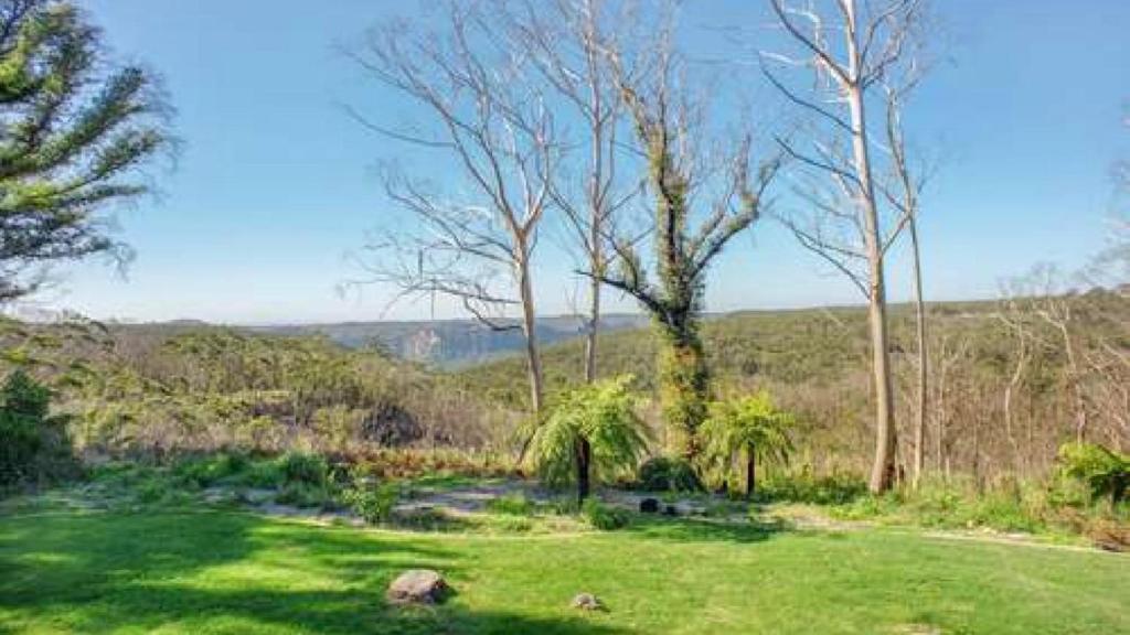 a field of green grass with trees in the background at Hat Hill Hideaway Amazing Valley Views in Blackheath