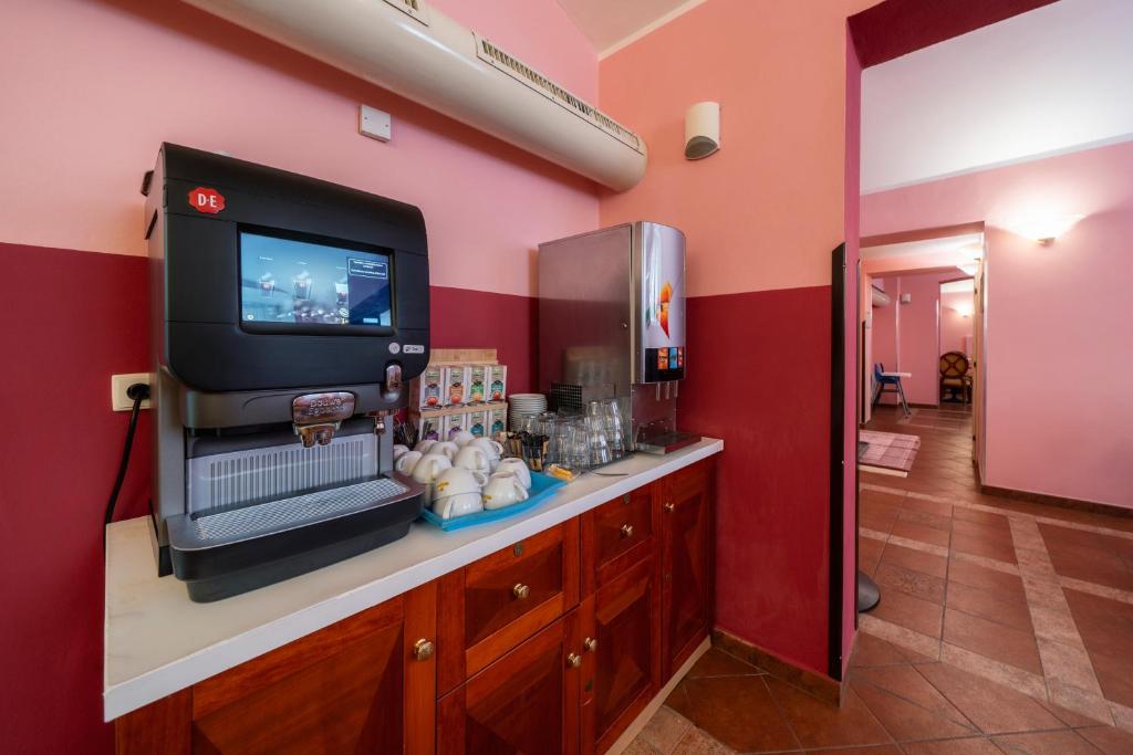 Hotel Raffaello Prague - Resim 31