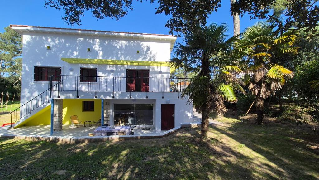 une maison blanche avec un palmier devant dans l'établissement La Canopée, à Saint-Georges-de-Didonne