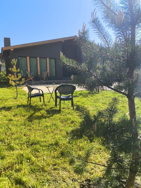 Zahrada ubytování TwinSide Chalet Bakuriani