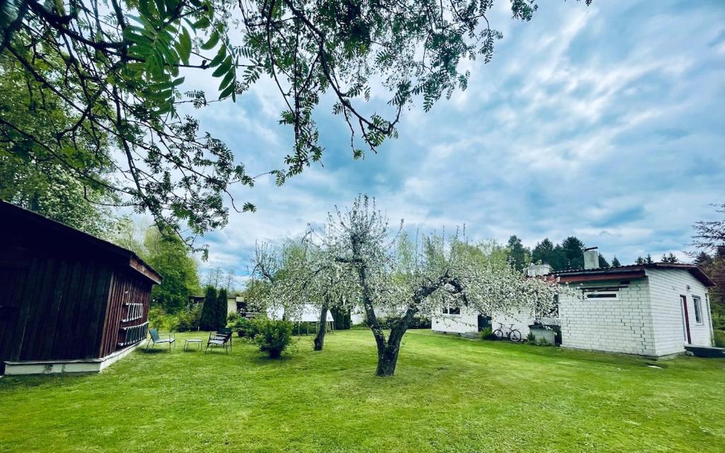 a yard with an apple tree and a barn at Cozy Family House with Sauna & Garden in Kärdla
