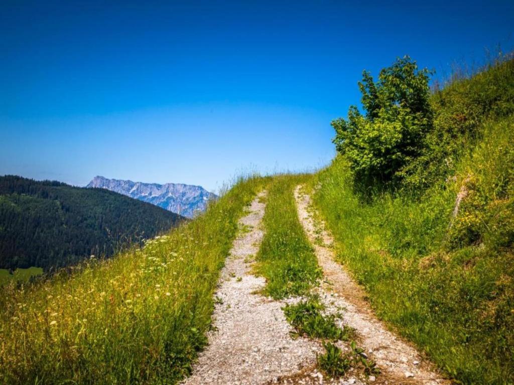Príroda v okolí apartmánu