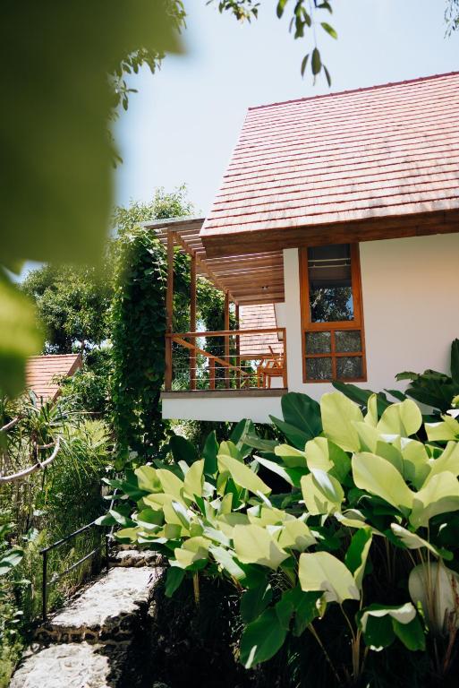 Deep Roots Dive & Yoga Resort - 16