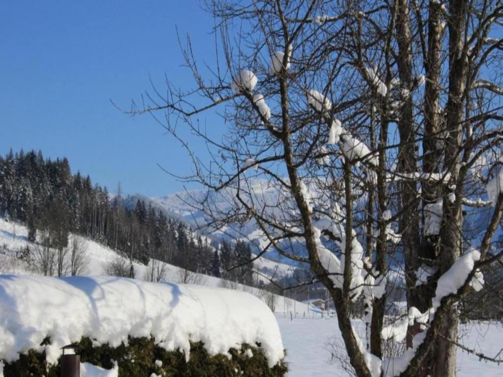 Modern Holiday Home in Maria Alm near Ski Area v zimě