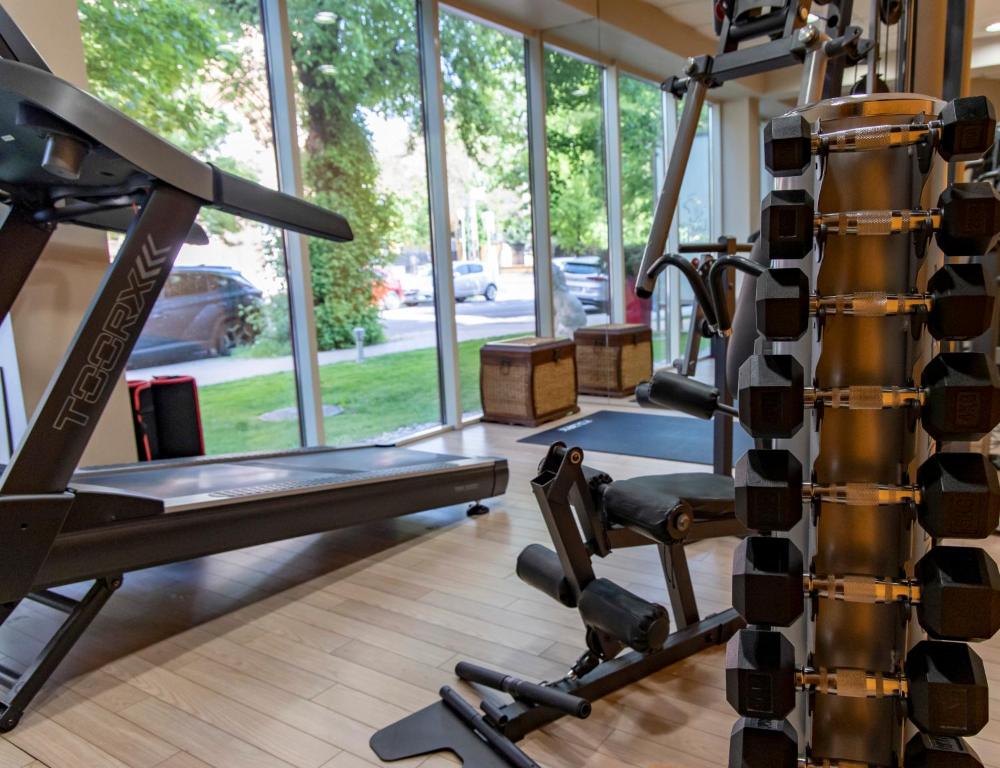 Fitness centrum a/nebo fitness zařízení v ubytování Lion's Garden Hotel