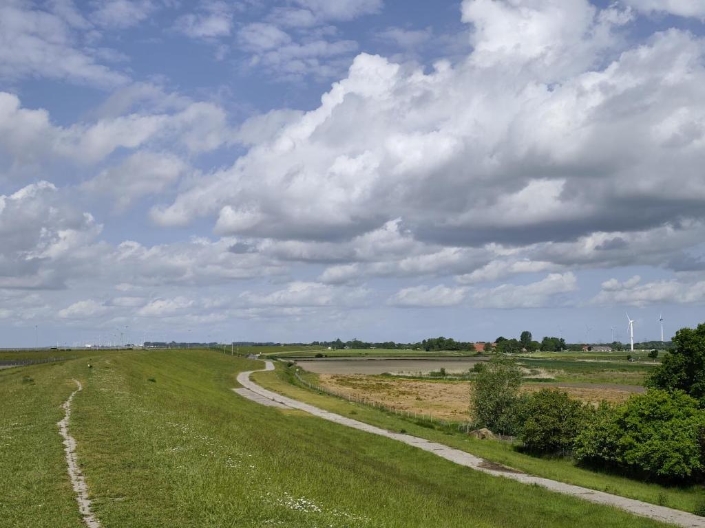 Příroda nedaleko apartmánu
