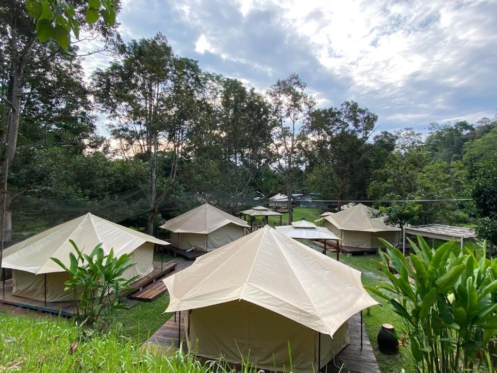Zahrada ubytování Canopy Villa Glamping Park