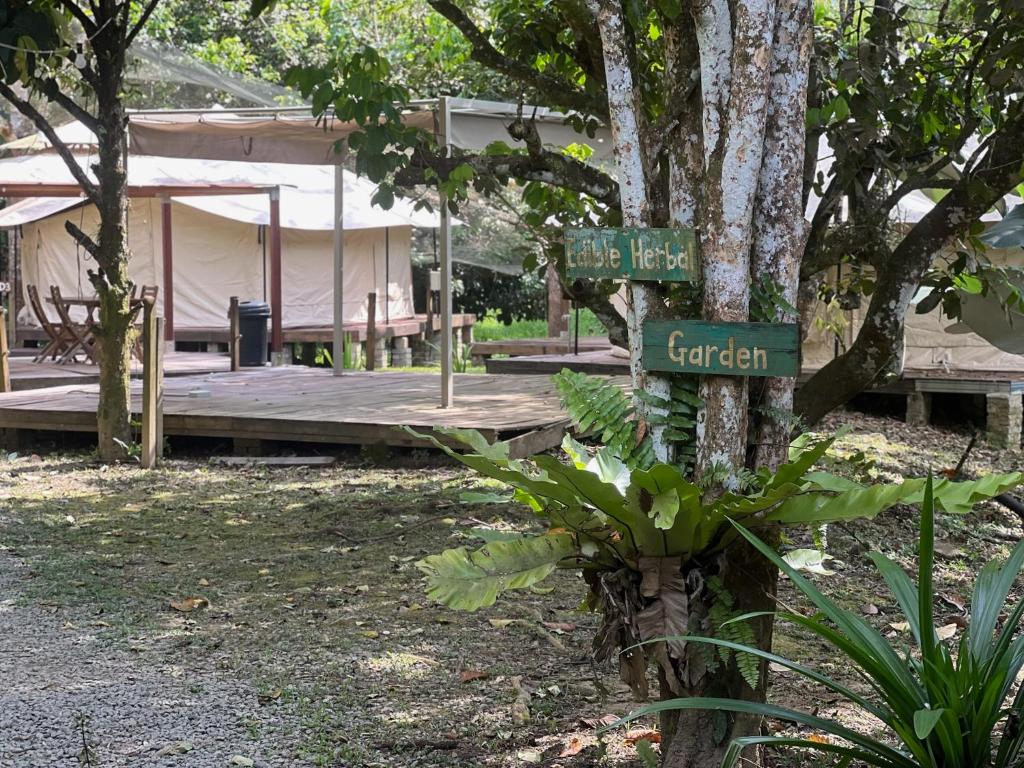 Zahrada ubytování Canopy Villa Glamping Park