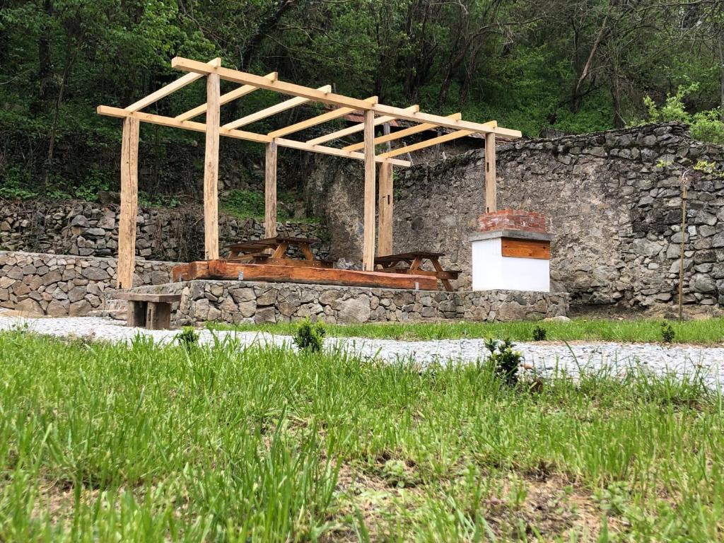 Zahrada ubytování Sasca 362 Ap1