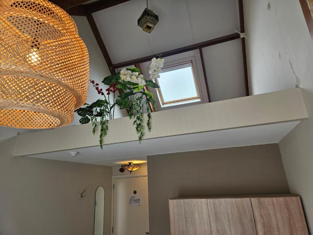 Fotografie z fotogalerie ubytování Hotel Dolores Ameland v destinaci Hollum