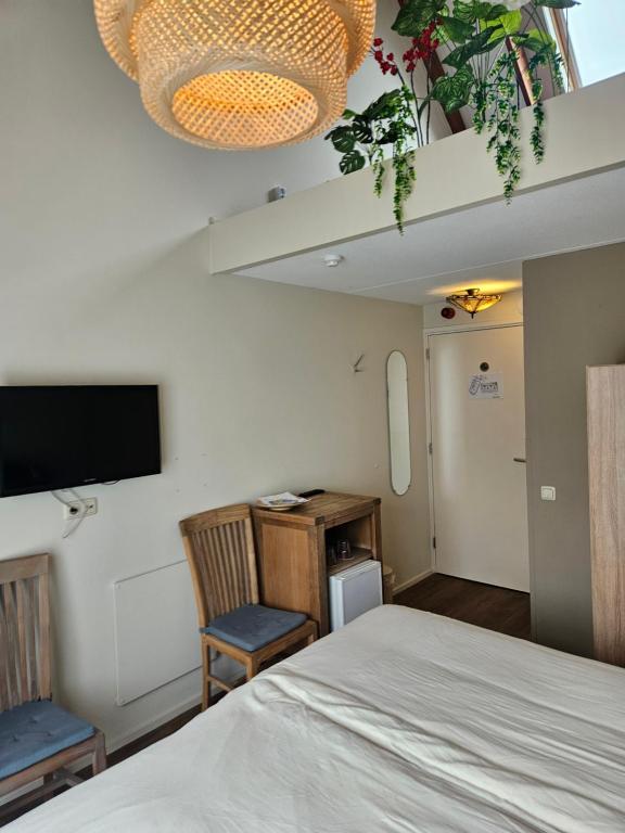 TV a/nebo společenská místnost v ubytování Hotel Dolores Ameland