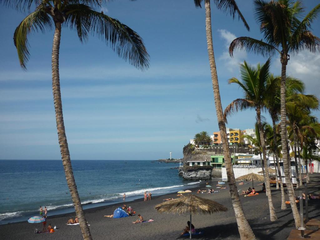 プエルト・デ・ナオスにあるNisamar Atico Aのヤシの木と人々が砂に横たわる浜
