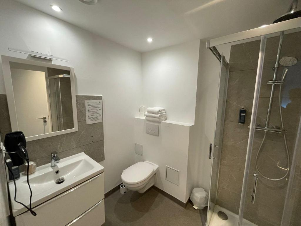 Brit Hotel Grand Hotel Munster - Estudio (3 Adultos)