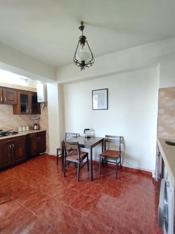 Kuchyň nebo kuchyňský kout v ubytování Davka Apartments