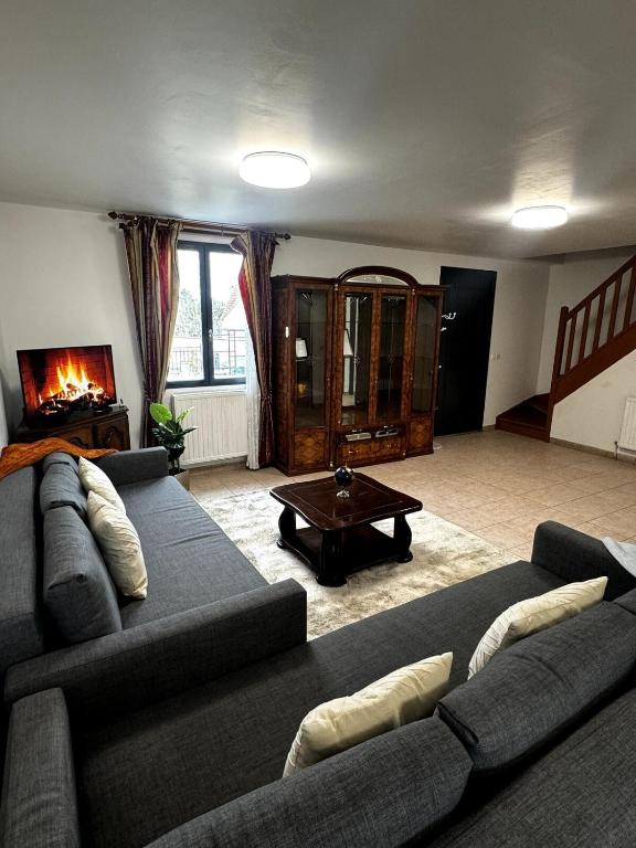 un salon avec deux canapés et une cheminée dans l'établissement Maison familiale Vintage à Meaux, à Meaux