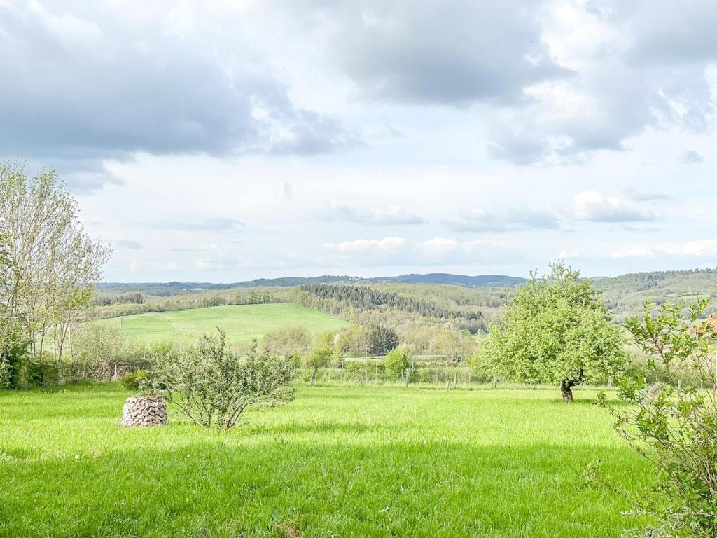 un champ d'herbe verte avec un cheval au loin dans l'établissement Gîte Au Coeur de l 'Alllier, à Droiturier