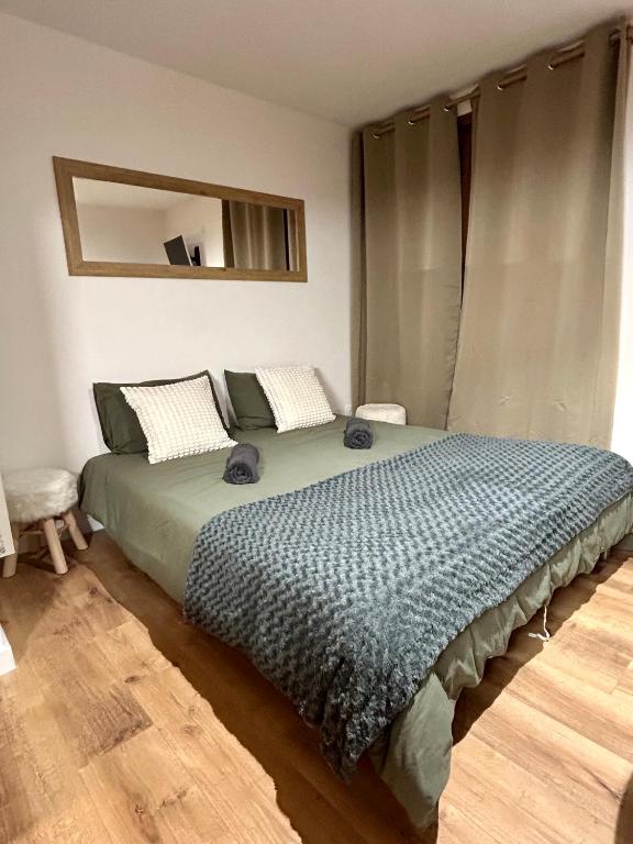 une chambre avec un grand lit avec un miroir dans l'établissement Charmant logement tout confort, à Bernex