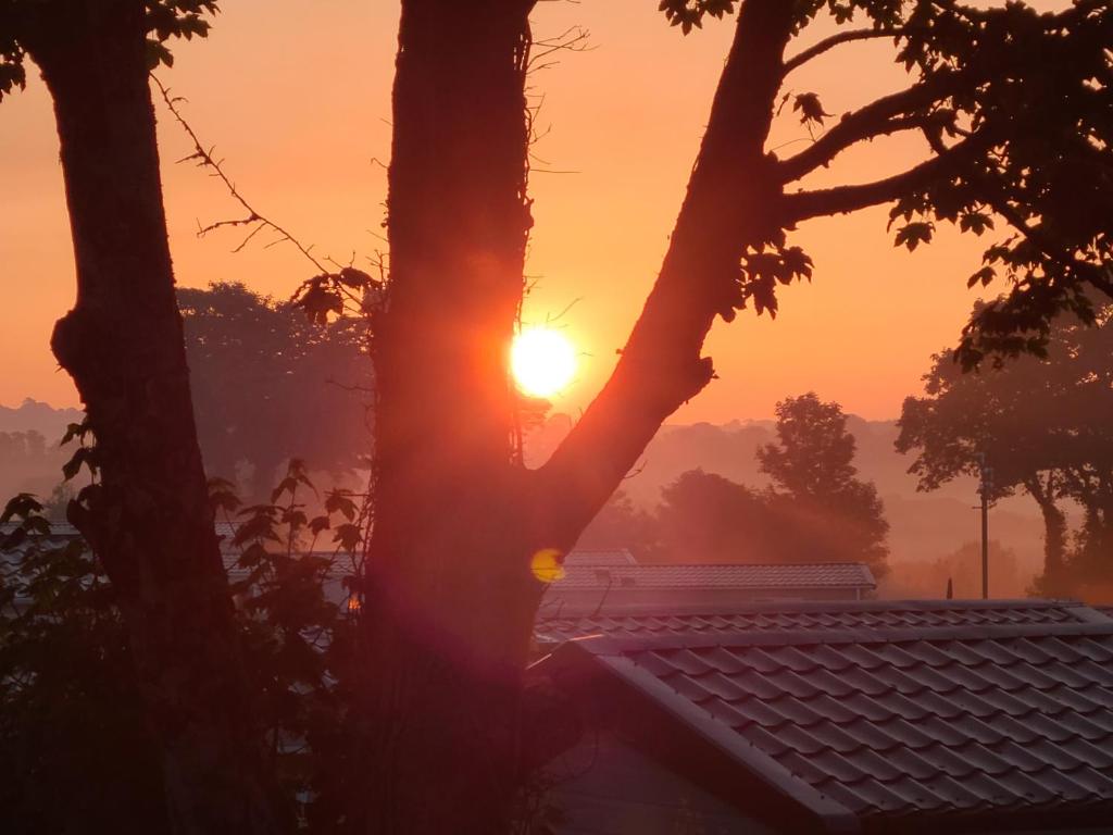 a sunrise over a temple with trees in the foreground at Eth Melyn Caravan Holiday in Grampound