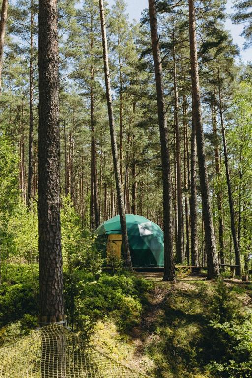 Příroda nedaleko luxury tent