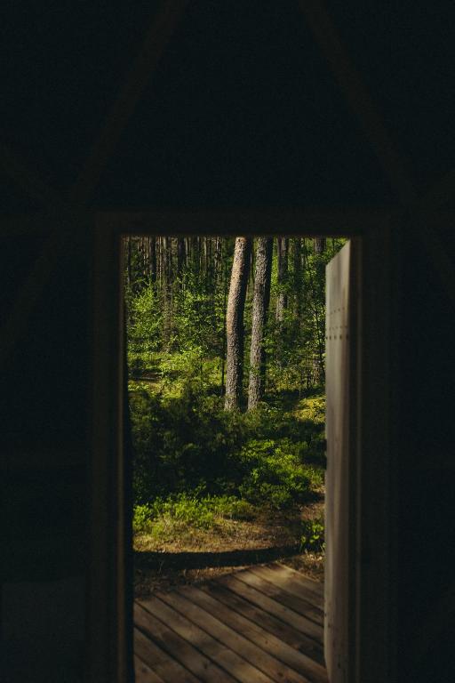 Fotografie z fotogalerie ubytování Asalnai Campsite v destinaci Ignalina