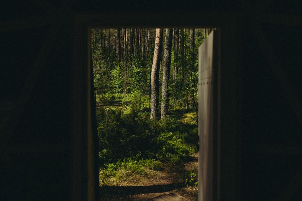 Fotografie z fotogalerie ubytování Asalnai Campsite v destinaci Ignalina