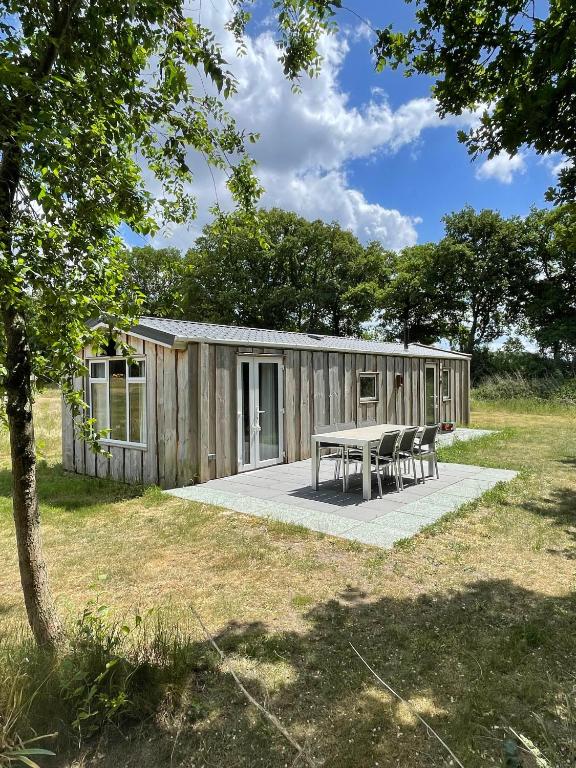 a small wooden cabin with a table and chairs at Hoeve Twente - De Buizerd in Heythuysen