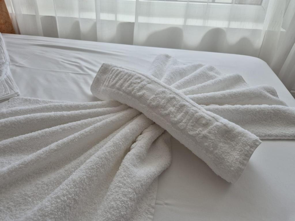Postel nebo postele na pokoji v ubytování Hotel Scoica