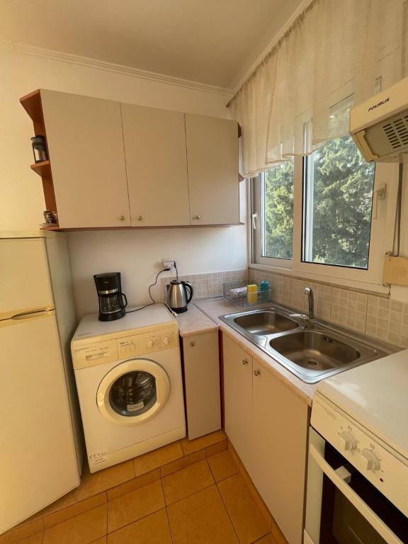 Kuchyň nebo kuchyňský kout v ubytování Plastiras Sea View Apartments