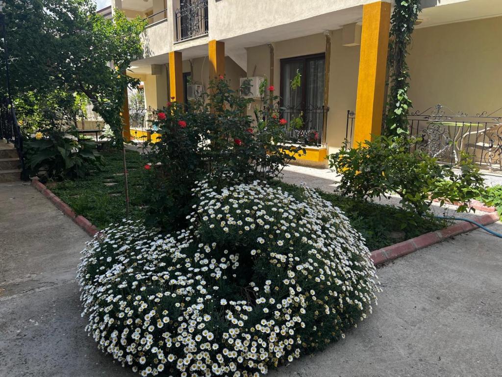 Grand Teoshan Otel ve Tatil Evleri - Chambre Triple Avec Balcon
