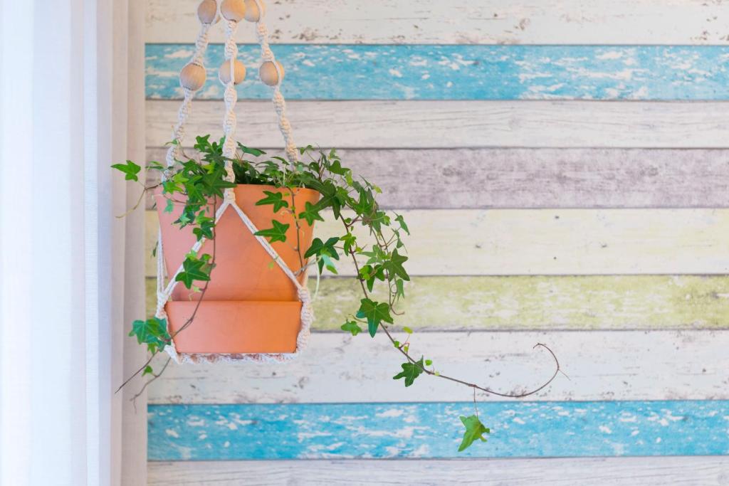 Home Sweet Praia - 3