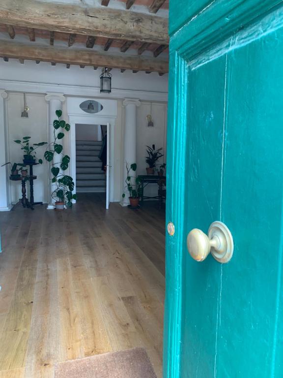 a green door in a room with a wooden floor at La Meridiana in Vicopisano