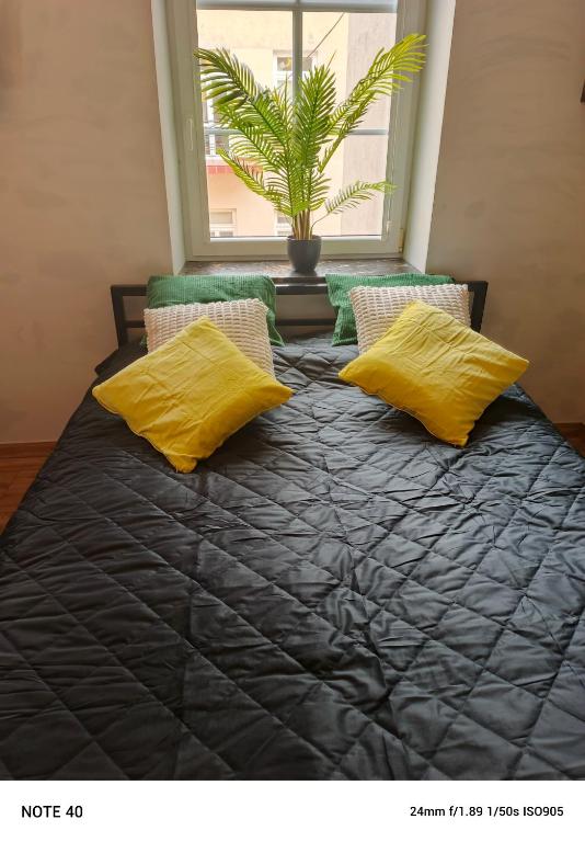 a bed with two yellow pillows and a window at Apartament Centrum Lublin in Lublin