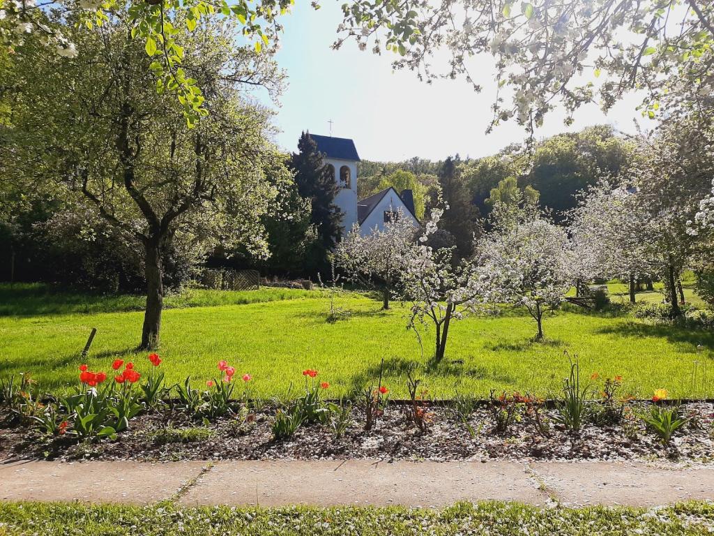 un champ de fleurs avec une maison en arrière-plan dans l'établissement Die Malche Gäste und Tagungshaus 26, à Malche