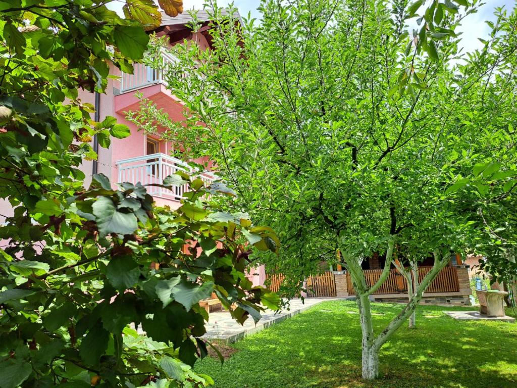 Φωτογραφία από το άλμπουμ του Cozy 5 Bedroom House for Groups and Families σε Rogačići