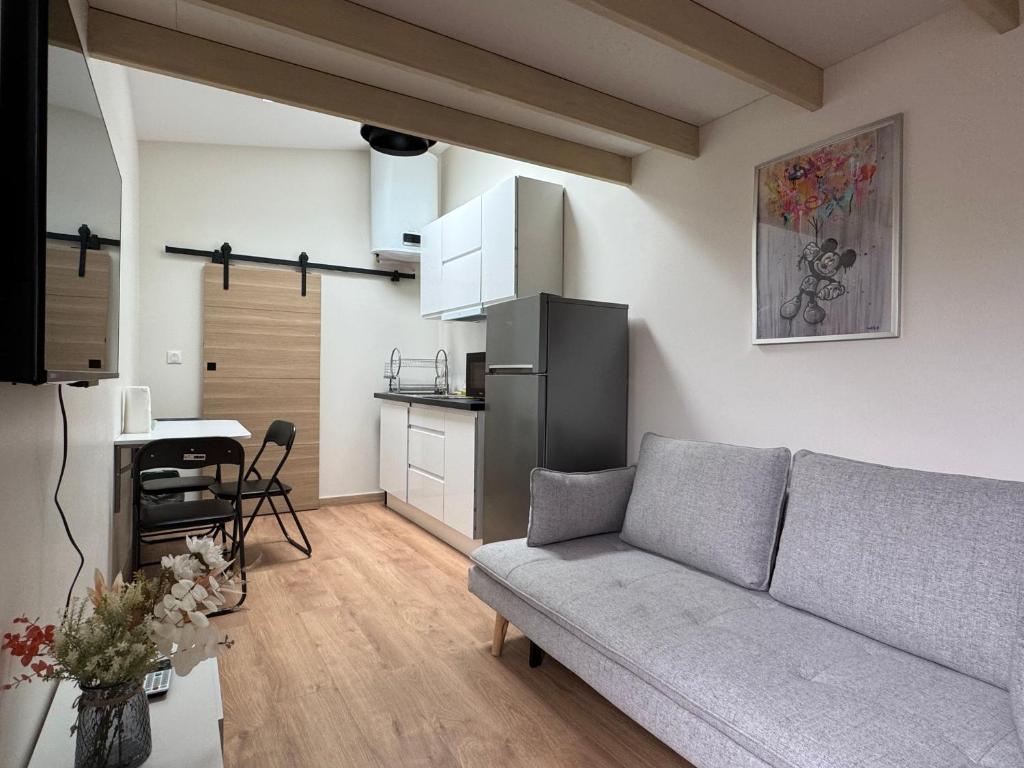 un soggiorno con divano e cucina di Studio Lumineux Mezzanine à 10 minutes de Disney a Serris