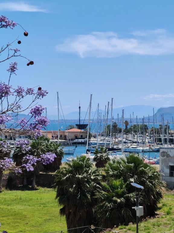 巴勒莫MARE Suite的停靠在码头的一群船