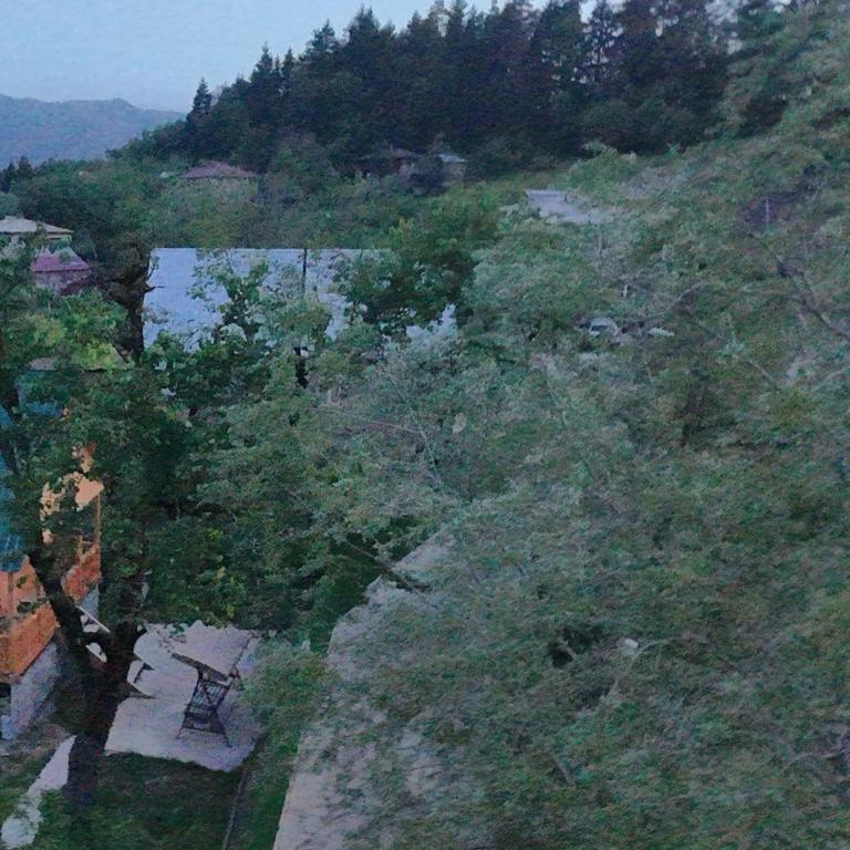 Příroda nedaleko apartmánu
