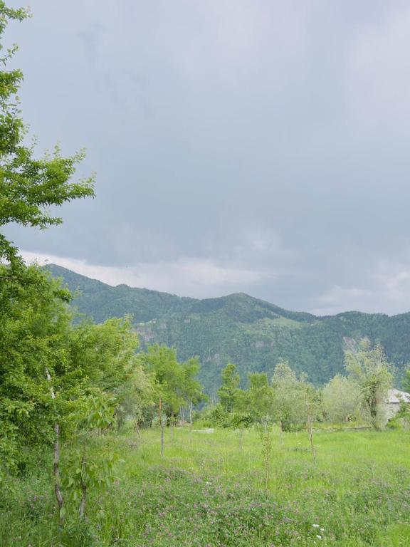 Příroda nedaleko apartmánu